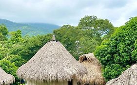 ECOCABAÑAS DIOSA JAGUAR tayrona